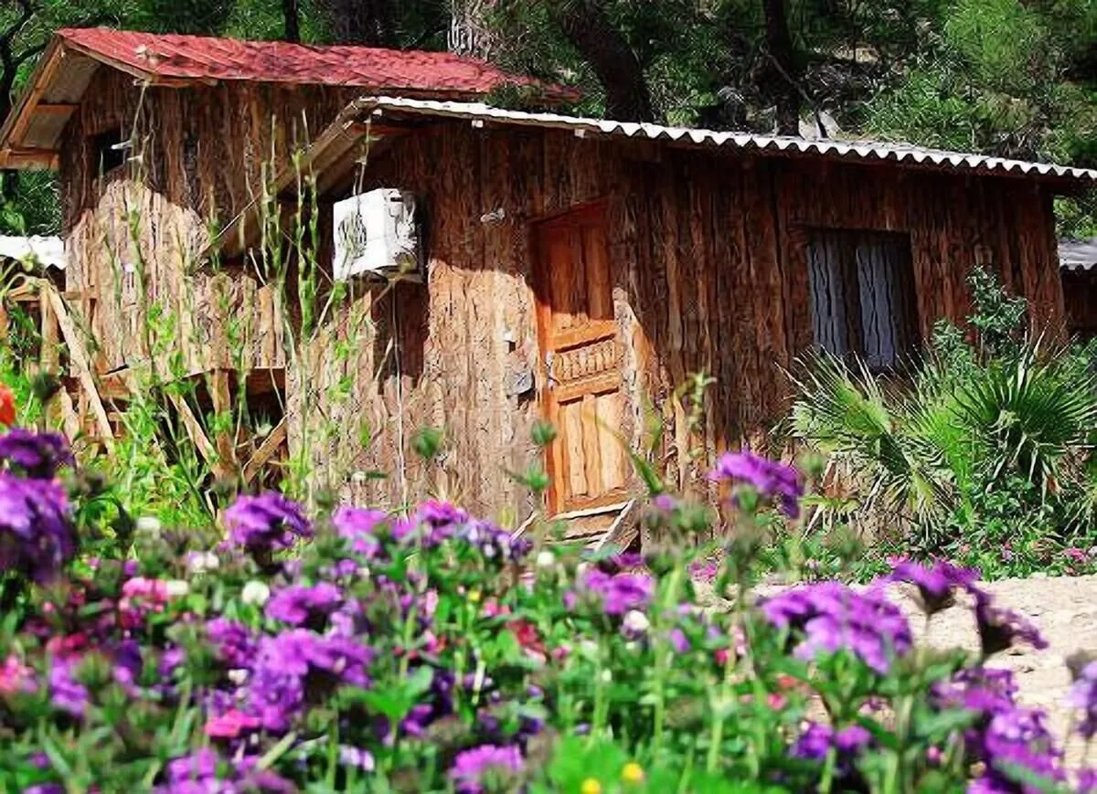 Olympos